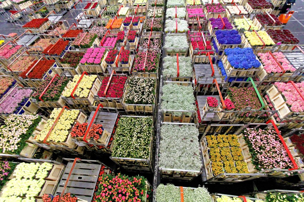 Aalsmeer Flower village