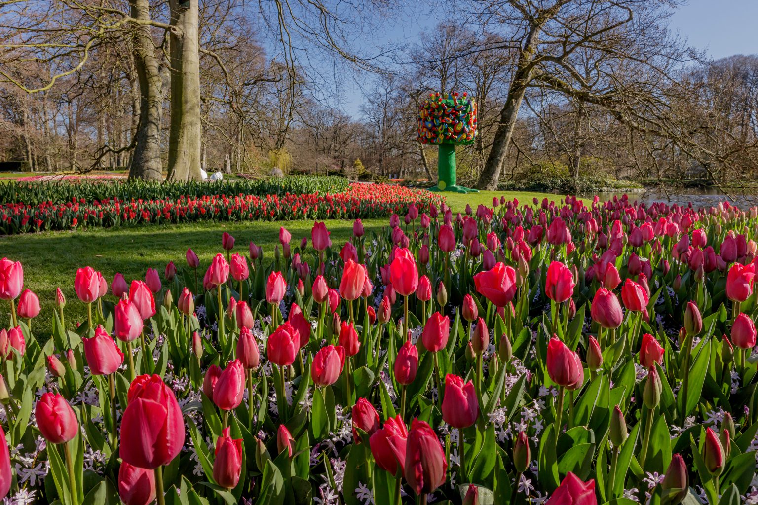 Keukenhof Tulip Park 2021 Enjoy the Dutch Countryside