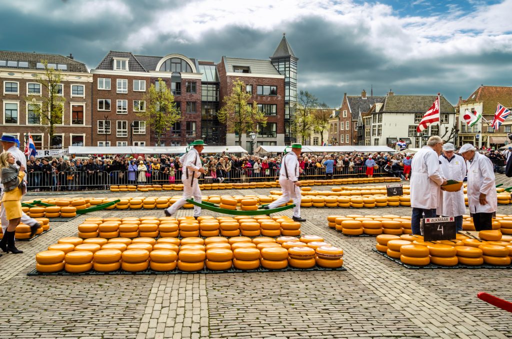 Cheese market near Amsterdam