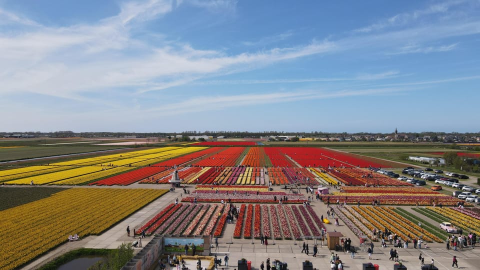 The Tulip Barm in Hillegom