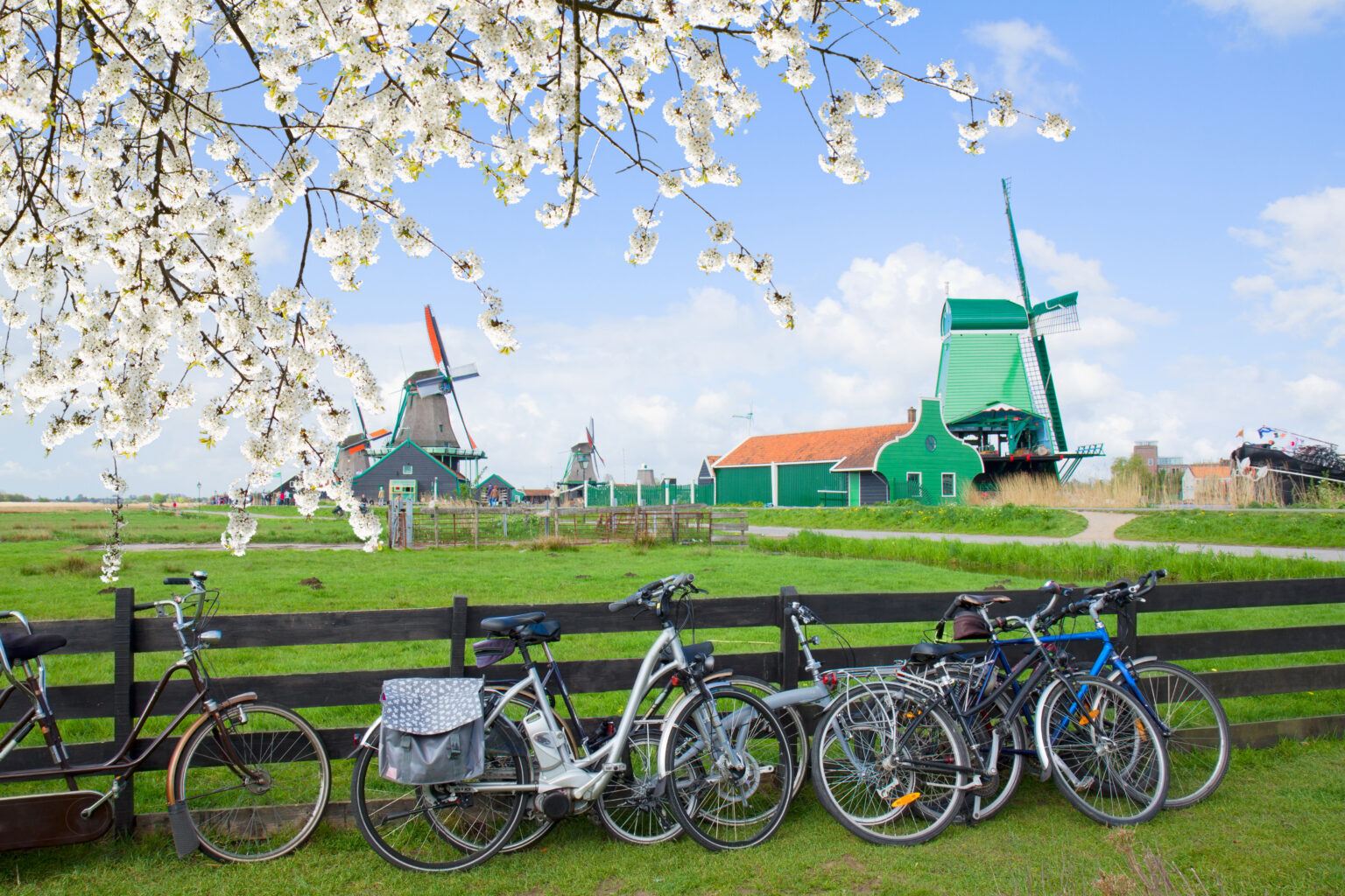 Vélos garés à Zaanse Schans au printemps